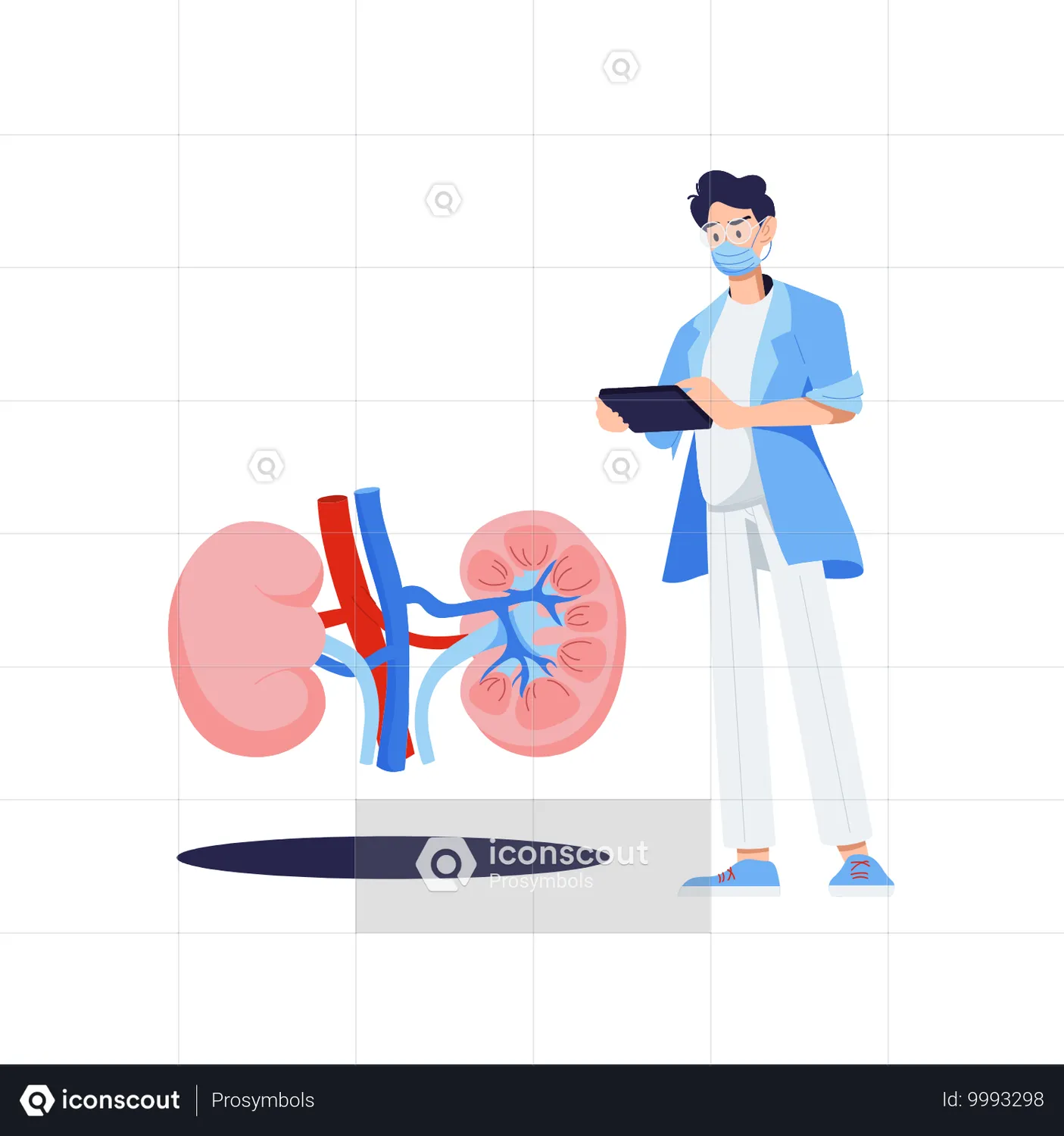 UrologistWorksOnKidneyExaminationAnimation-FreeDownloadHealthcare&MedicalAnimations|IconScout