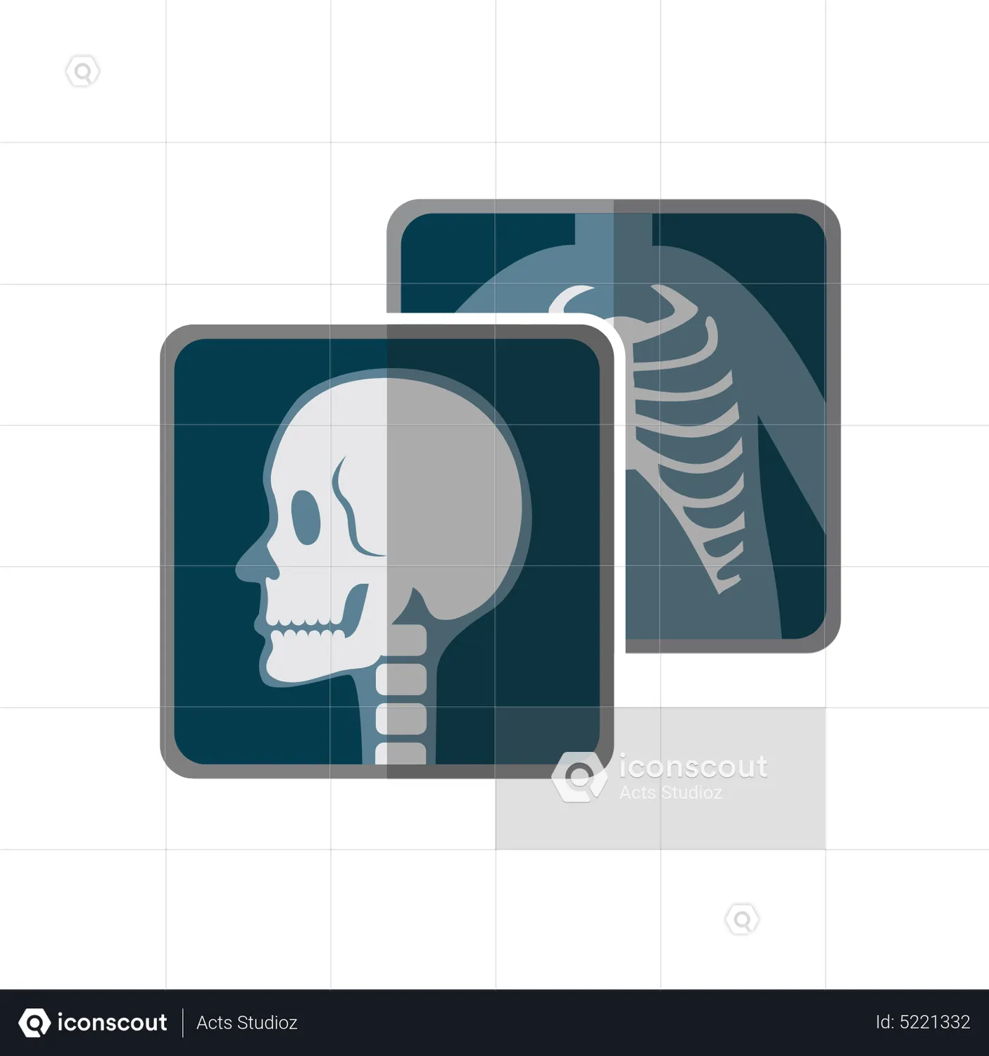 Xrays 1 Animated Icon download in JSON, LOTTIE or MP4 format