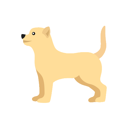 2,000+ Free Dog Head & Dog Images - Pixabay