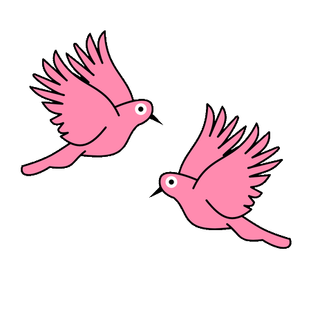 birds flying gif