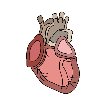 7,814 Heart Disease Lottie Animations - Free in JSON, LOTTIE, GIF -  IconScout