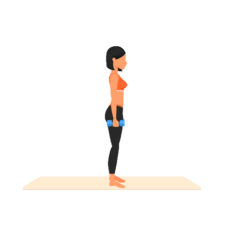 Woman doing Calf Raises Animated Illustration download in JSON, LOTTIE or  MP4 format